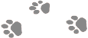 _1