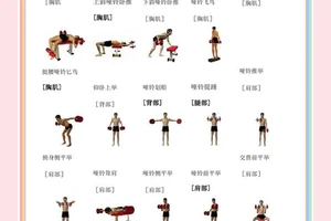 怎么样练习哑铃才能对打篮球有帮助?